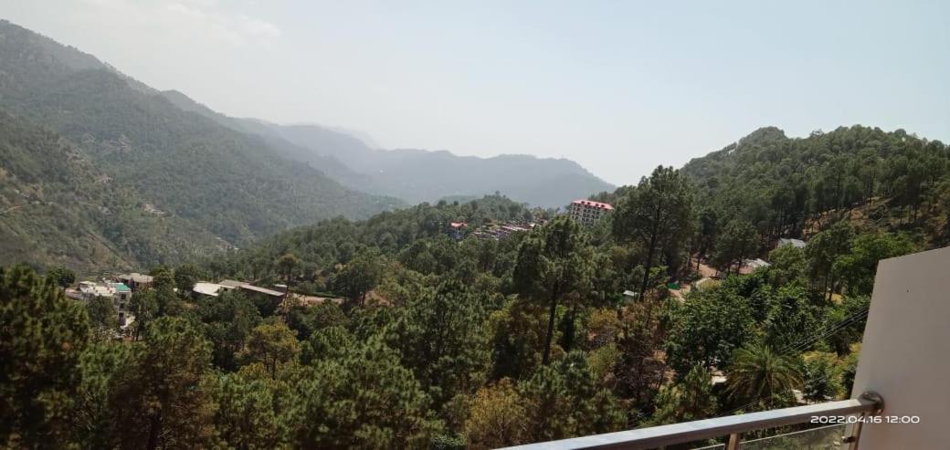 Mystic Forest View Kasauli I Serviced Villa I Best Seller I Vacations I Family Events I Open Air Lawn I Sky Bonfire I Kasauli By Exotic Stays Esterno foto