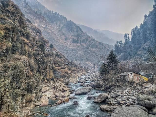 Mystic Forest View Kasauli I Serviced Villa I Best Seller I Vacations I Family Events I Open Air Lawn I Sky Bonfire I Kasauli By Exotic Stays Esterno foto