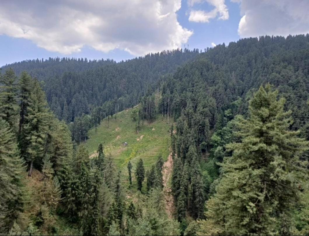 Mystic Forest View Kasauli I Serviced Villa I Best Seller I Vacations I Family Events I Open Air Lawn I Sky Bonfire I Kasauli By Exotic Stays Esterno foto