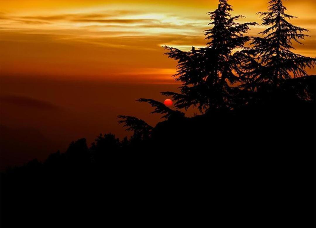 Mystic Forest View Kasauli I Serviced Villa I Best Seller I Vacations I Family Events I Open Air Lawn I Sky Bonfire I Kasauli By Exotic Stays Esterno foto