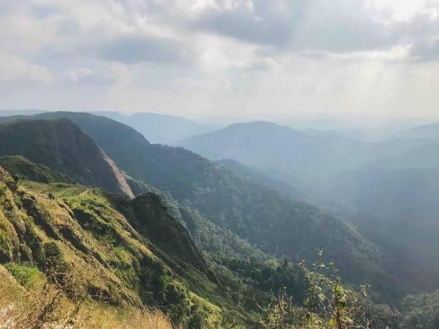 Mystic Forest View Kasauli I Serviced Villa I Best Seller I Vacations I Family Events I Open Air Lawn I Sky Bonfire I Kasauli By Exotic Stays Esterno foto