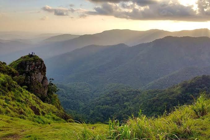 Mystic Forest View Kasauli I Serviced Villa I Best Seller I Vacations I Family Events I Open Air Lawn I Sky Bonfire I Kasauli By Exotic Stays Esterno foto