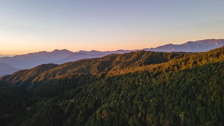 Mystic Forest View Kasauli I Serviced Villa I Best Seller I Vacations I Family Events I Open Air Lawn I Sky Bonfire I Kasauli By Exotic Stays Esterno foto