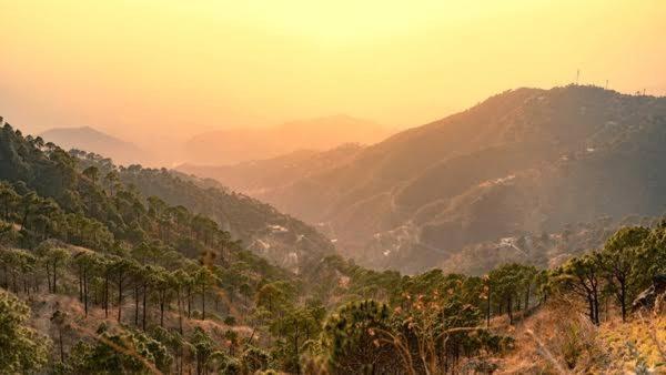 Mystic Forest View Kasauli I Serviced Villa I Best Seller I Vacations I Family Events I Open Air Lawn I Sky Bonfire I Kasauli By Exotic Stays Esterno foto