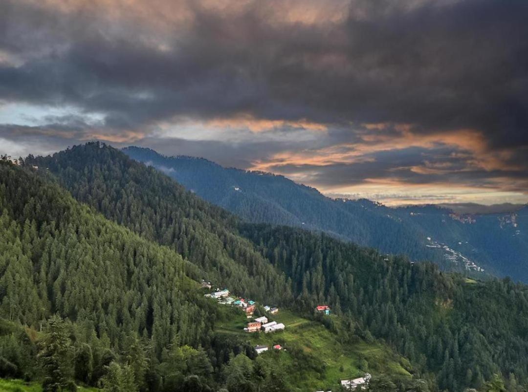 Mystic Forest View Kasauli I Serviced Villa I Best Seller I Vacations I Family Events I Open Air Lawn I Sky Bonfire I Kasauli By Exotic Stays Esterno foto