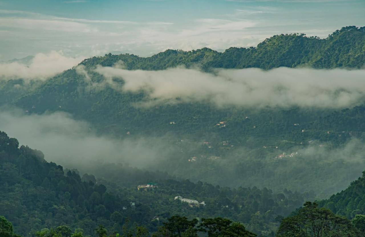 Mystic Forest View Kasauli I Serviced Villa I Best Seller I Vacations I Family Events I Open Air Lawn I Sky Bonfire I Kasauli By Exotic Stays Esterno foto